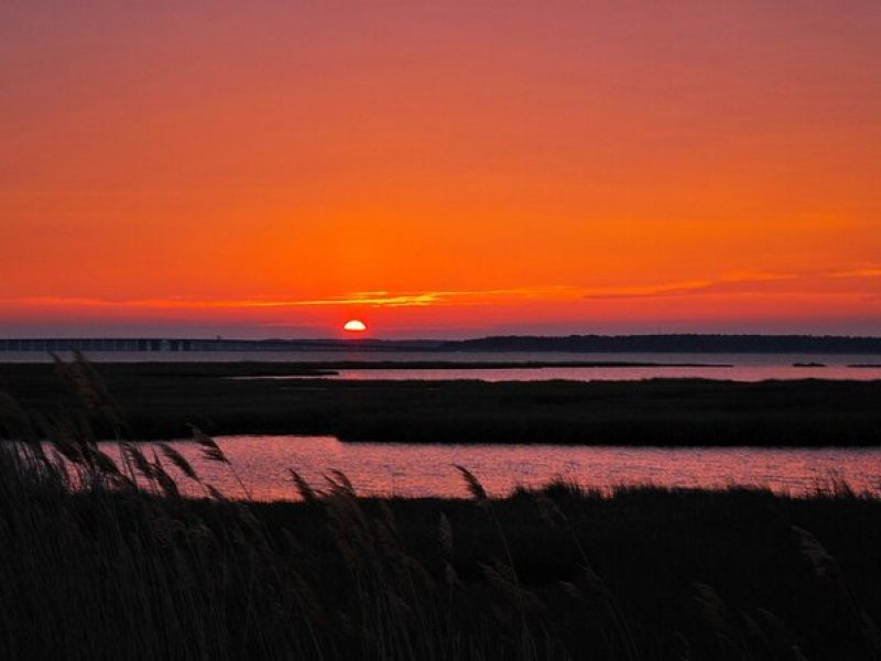 2-Hour Sunset Pontoon Boat Rental in Dewey Beach