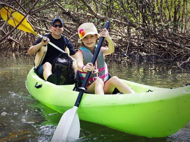 Fully Guided Kayaking Backwater Manatee and Dolphin Tour