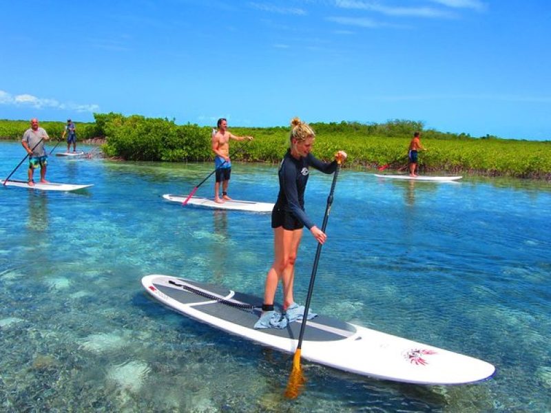 SUP Paddleboard Lesson and Tour – Port Canaveral & Cocoa Beach