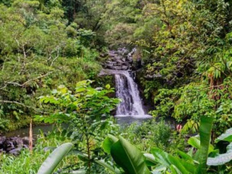 Full-Day Private Road to Hana Tour from Wailea – Kihei