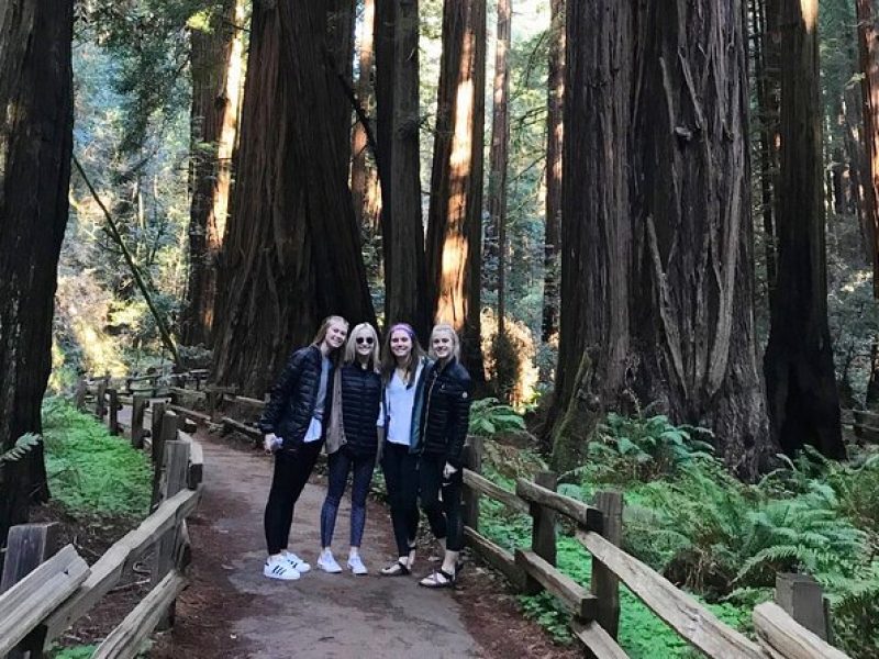 3-Hour Private Muir Giant Redwoods Trees and Sausalito Tour