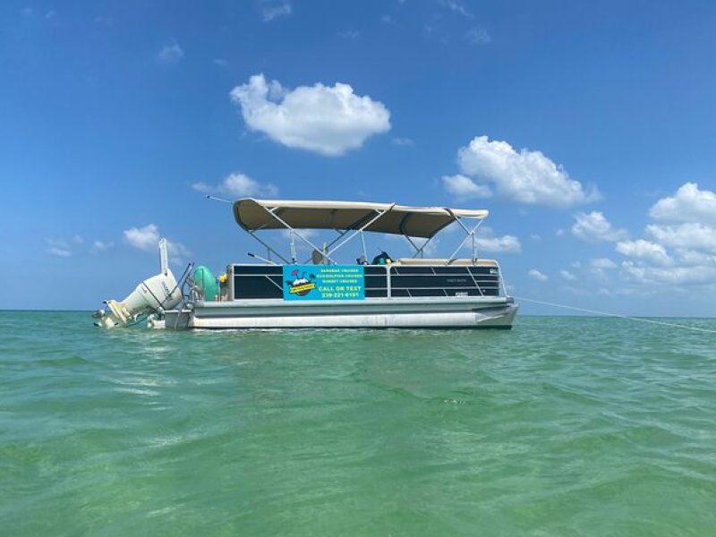 4 Hour Dolphin and Sandbar Cruise