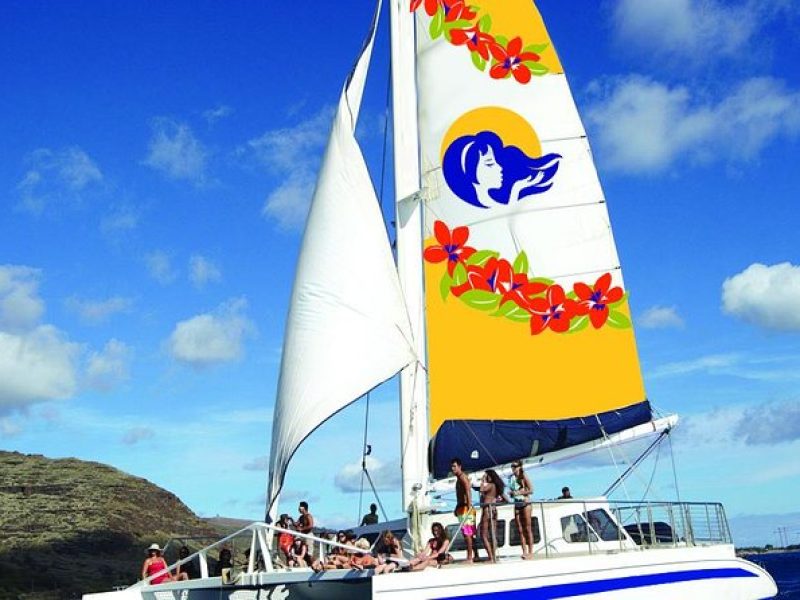 Waikiki Panorama Sail search for Hawaiian Sea Turtles