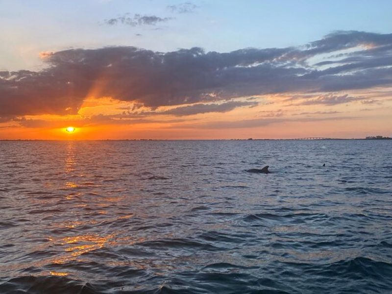 Sunset and Dolphin Cruise around Fort Myers Beach