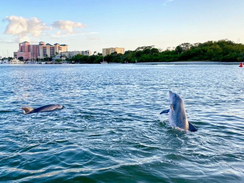 Dolphin Tiki Cruise around Fort Myers Beach