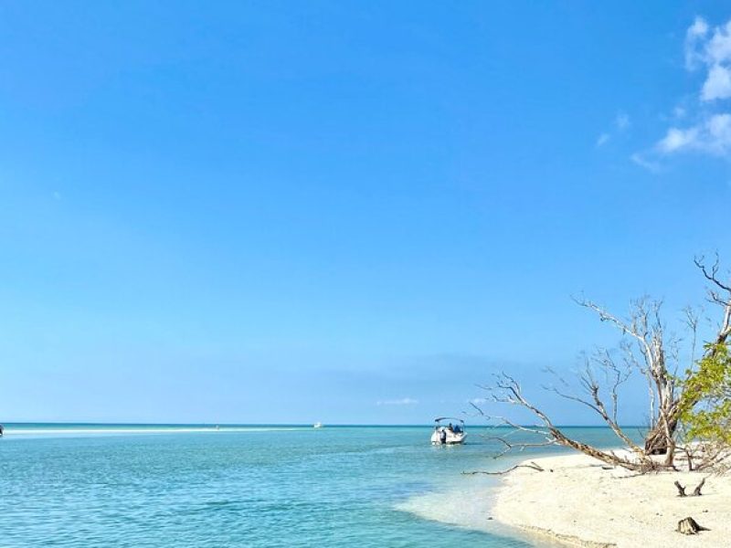 Half-Day Private Tiki Boat Beach Tour from Fort Myers