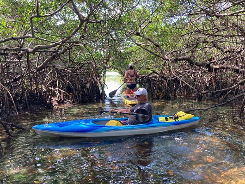 Half Day Excursion to John's Pass Sandbar & Mangrove Tunnel