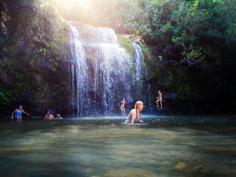 Kohala Waterfalls Small Group Adventure Tour