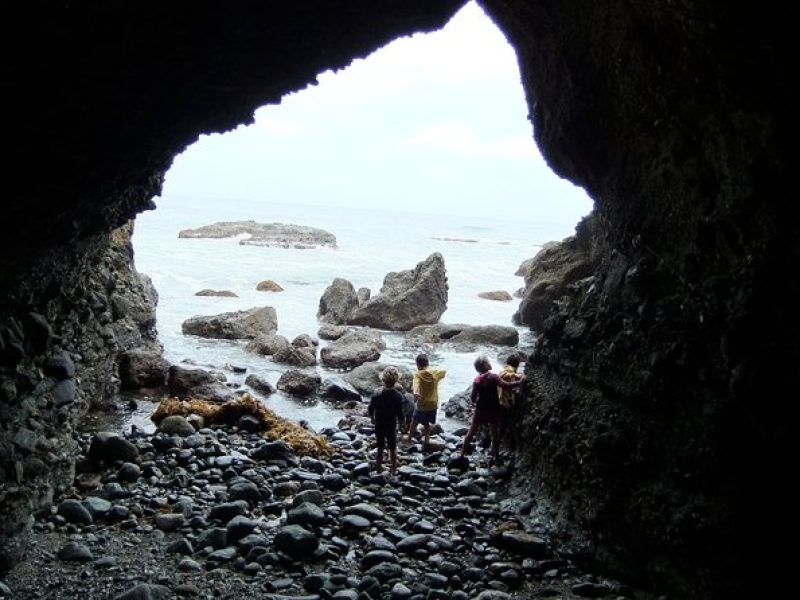 Pirate Sea Cave Tide Pool Walk at Dana Point