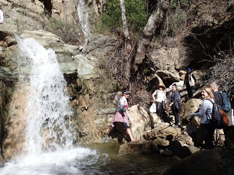 Nature Walk/Hike Tour near Disneyland: ID plants & wildlife