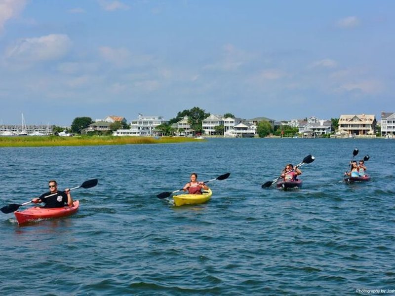 Eco Kayak Tour in Wrightsville Beach