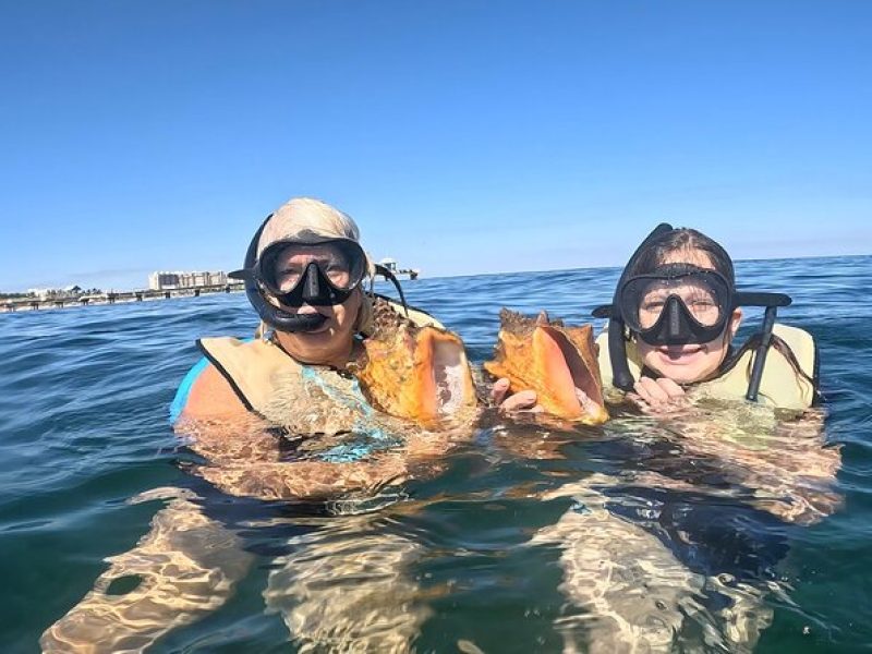 Public Guided Snorkel Tour of Fort Lauderdale Reefs