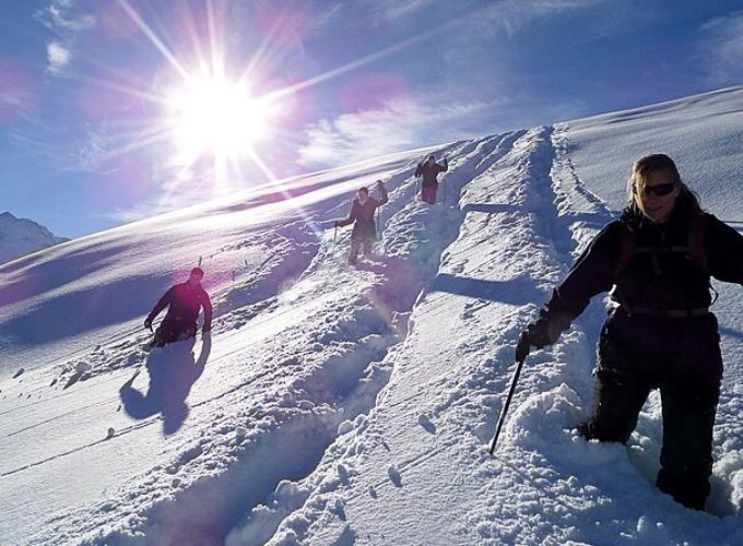 Scenic Snowshoe Adventure in South Lake Tahoe, CA