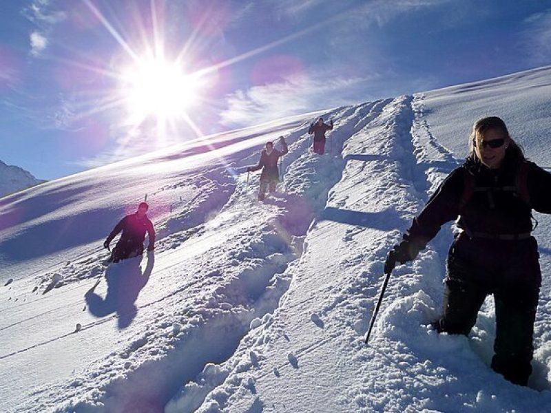 Scenic Snowshoe Adventure in South Lake Tahoe, CA