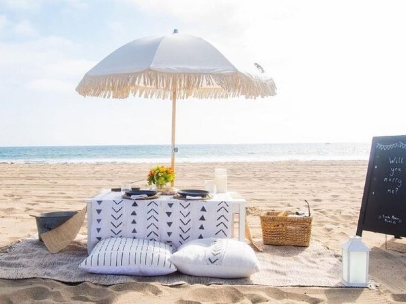 Classic Beach Picnic in Santa Monica (2-4 people)