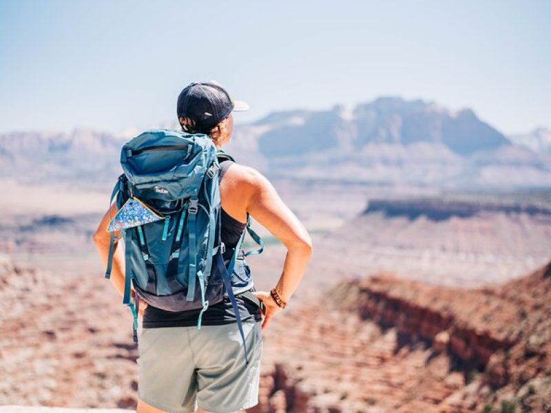 Zion Backcountry Off-road Hiking and Driving Tour Views & Petroglyphs