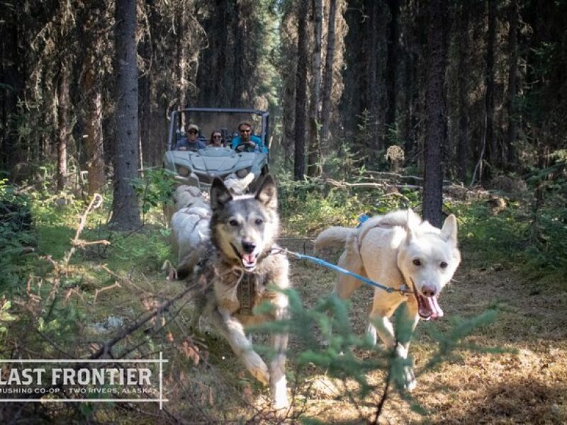 Summer Mushing Cart Ride & Kennel Tour