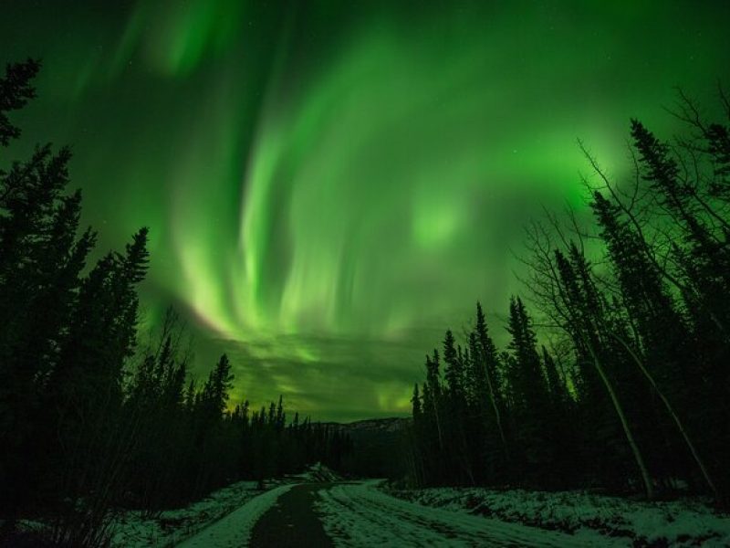 Fall Aurora Mushing Cart Ride Bucket List Adventure