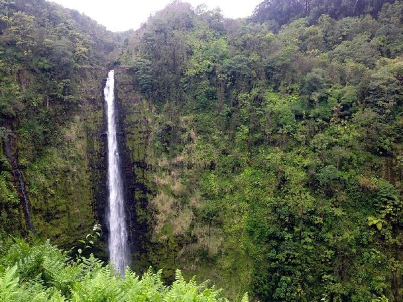 Big Island BIG Volcano Adventure from Kona: Small Group