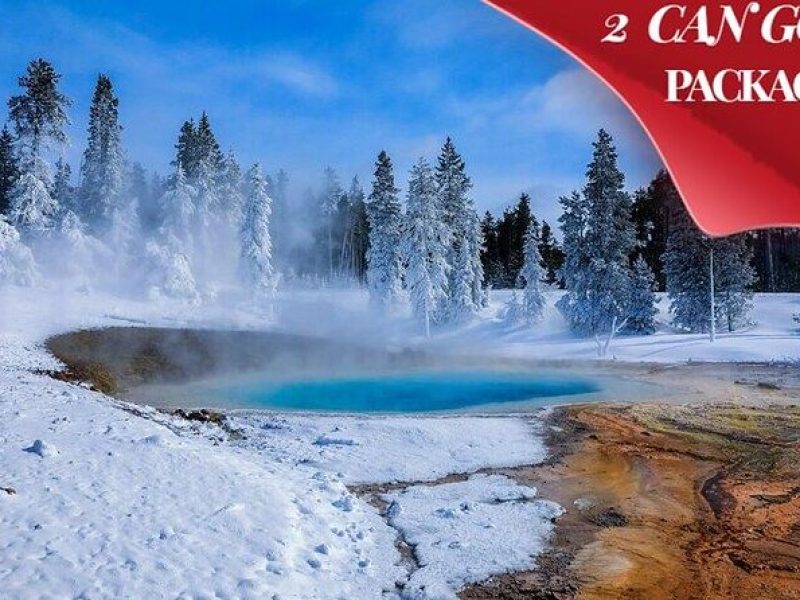 Yellowstone & Grand Teton National Parks Winter Tour: Small Group 4-Day Tour