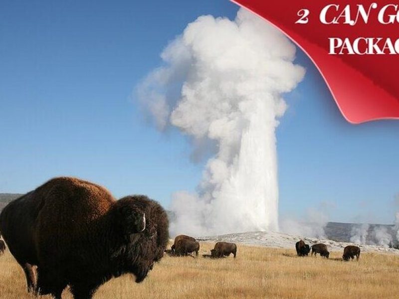 Yellowstone & Grand Teton National Parks: Small Group 4-Day Tour