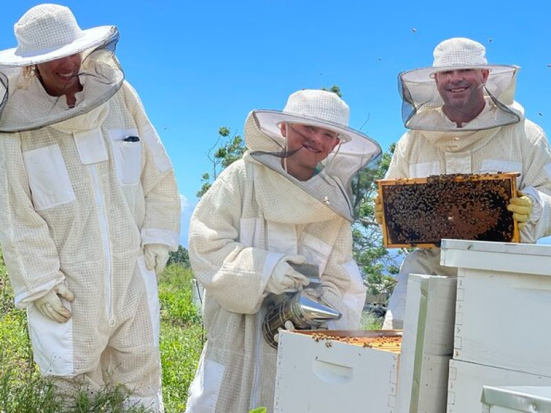 Honey Bee Adventure at the Maui Honey Bee Sanctuary