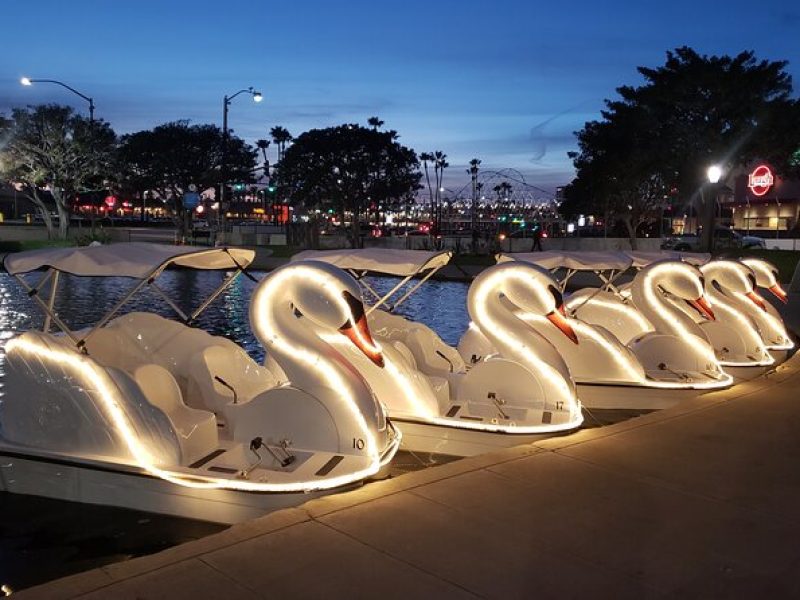 Illuminated Swan Boat Night Ride on Rainbow Lagoon