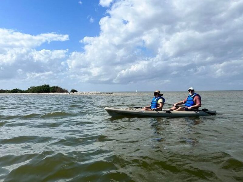 Space Coast Manatee & Coastal Wildlife Kayak Tour