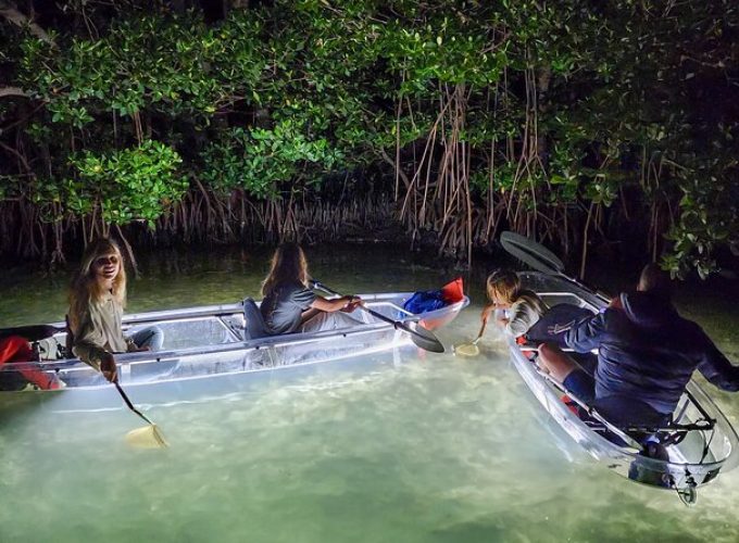 Clear Kayak LED Night Glass Bottom Tour – St Pete