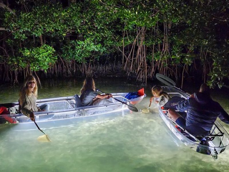 Clear Kayak LED Night Glass Bottom Tour – St Pete