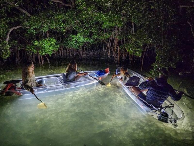 Clear Kayak LED Night Glass Bottom Tour – Anna Maria Island