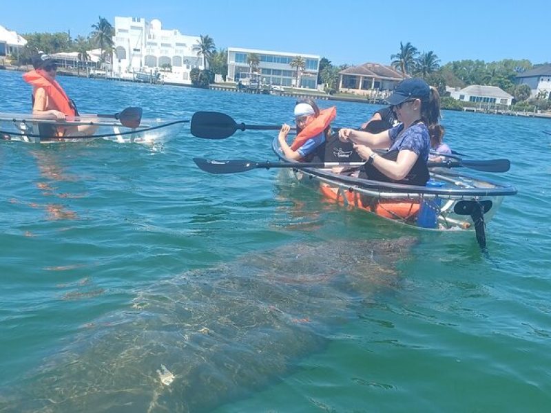 Clear Kayak Glass Bottom Day Tour – Anna Maria Island