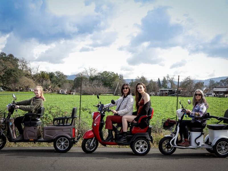 3-Hour Guided Wine Country Tour in Sonoma on Electric Trike