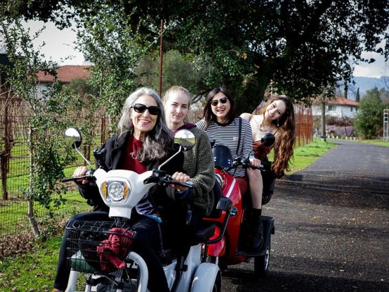 5 Hour Guided Wine Country Tour in Sonoma on an Electric Trike