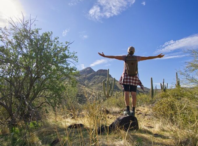 Scottsdale Desert Classic Guided Hiking Adventure