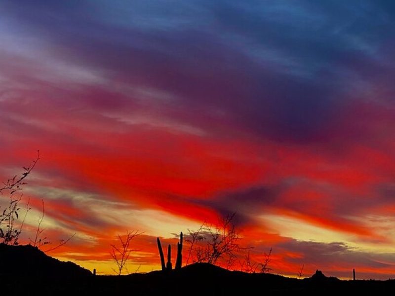 Spectacular Sunrise Guided Hike in Phoenix, Arizona