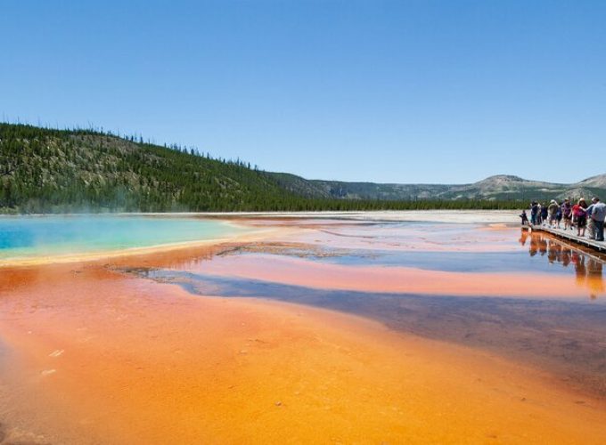 Yellowstone Nat'l Park Full Day Tour From Cody, WY