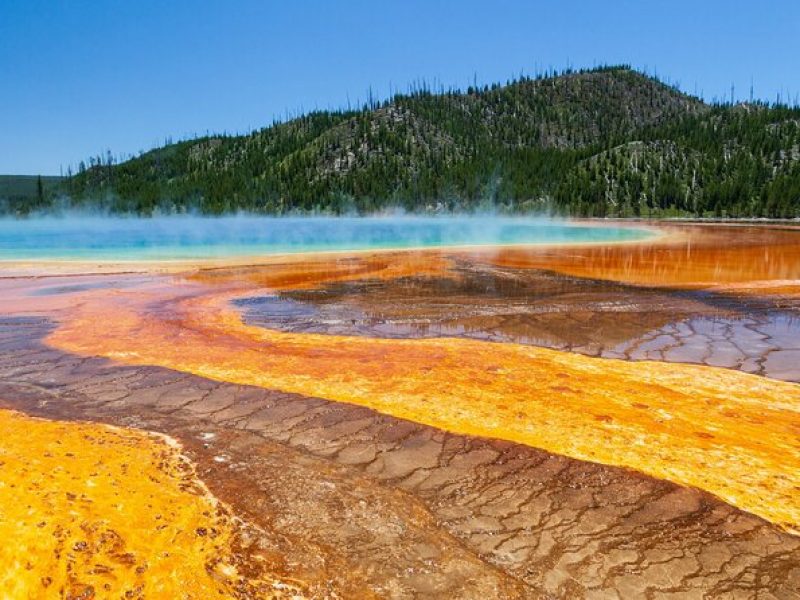 Full Day Yellowstone Nat'l Park Tour from Big Sky – Private Tour