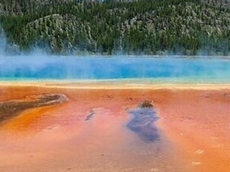 Best Of Yellowstone Full Day Nat'l Park Tour From Gardiner