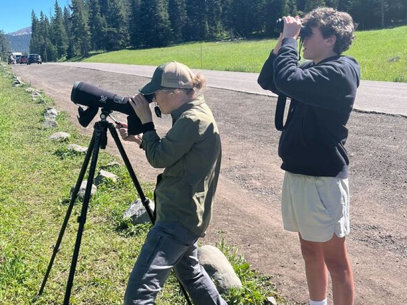 Yellowstone's Lamar Valley Wildlife Safari from Gardiner