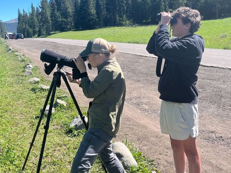 Yellowstone's Lamar Valley Wildlife Safari from Paradise Valley