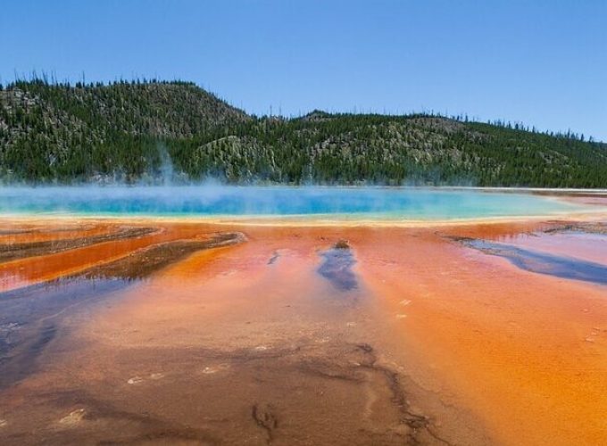 Best Of Yellowstone Full Day Nat'l Park Tour From Bozeman