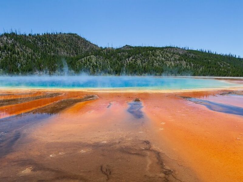 Full Day Yellowstone Nat'l Park Tour From West Yellowstone