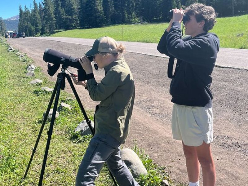 Yellowstone Wildlife Safari in Lamar Valley from Cody, WY