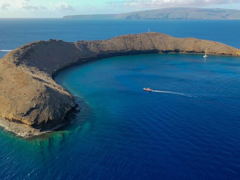 4-HR Molokini Crater + Turtle Town Snorkeling Experience