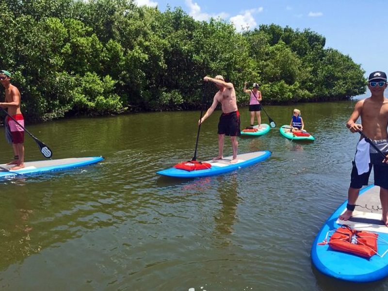 Full-Day Paddle Board Rental in Naples, Florida