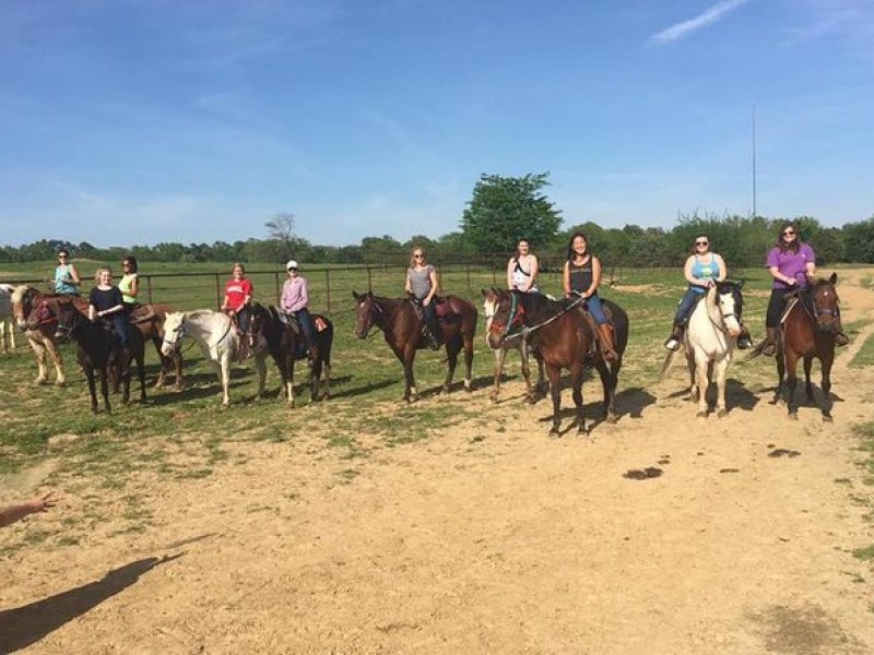 Memphis Horseback Trail Ride Tour