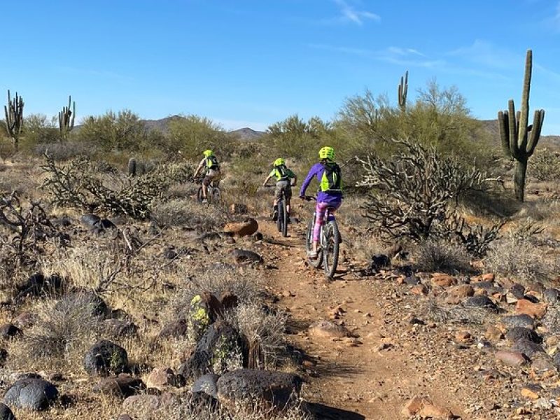 2 Hour Sonoran Desert Private Guided Mountain Bike Tour