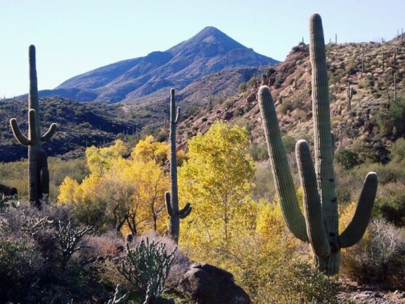 1-2 Hour Jewel of the Creek Private Guided Hiking Tour