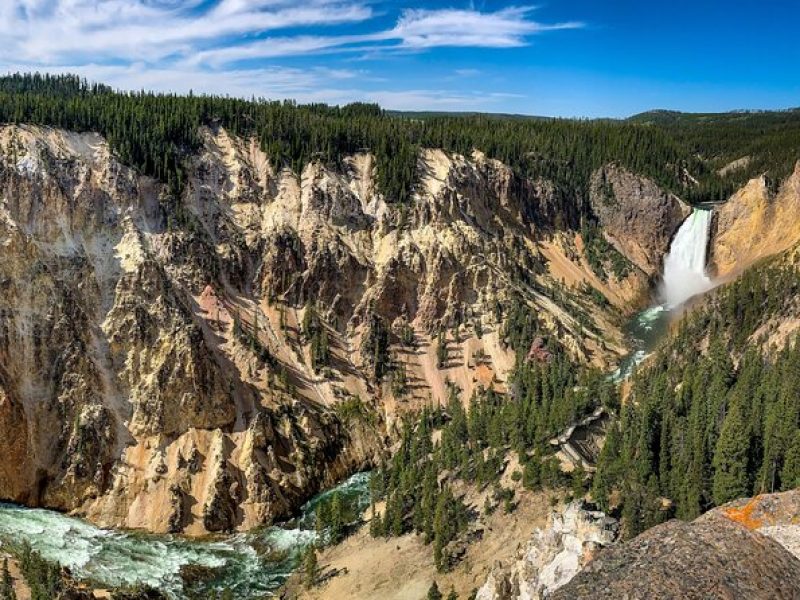 Private Yellowstone Highlights Tour